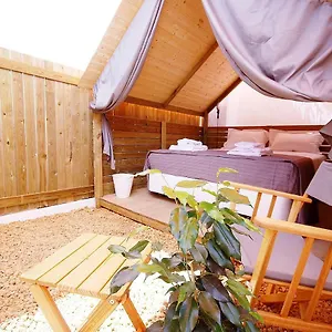 Lemon Tree Urban Camping Camping